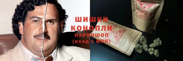 ECSTASY Няндома