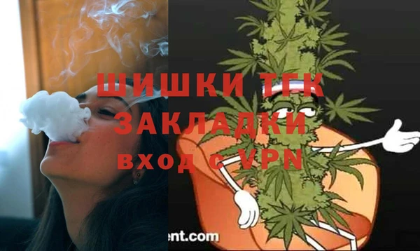 индика Новодвинск